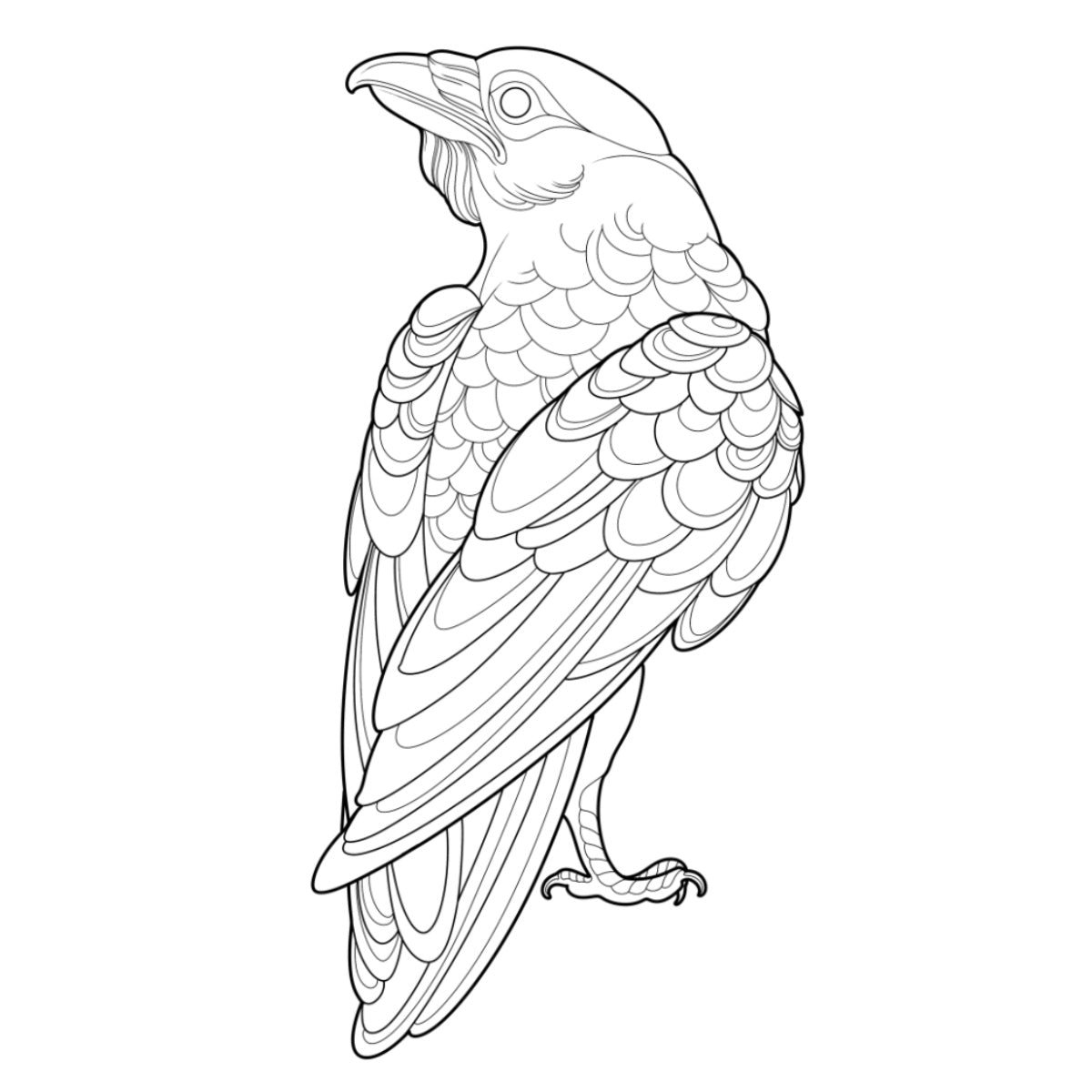 Tatuagem Série Pássaros Corvo 01