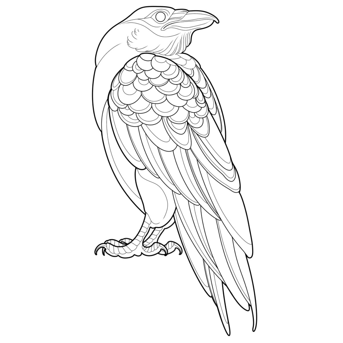 Tatuagem Série Pássaros Corvo 02