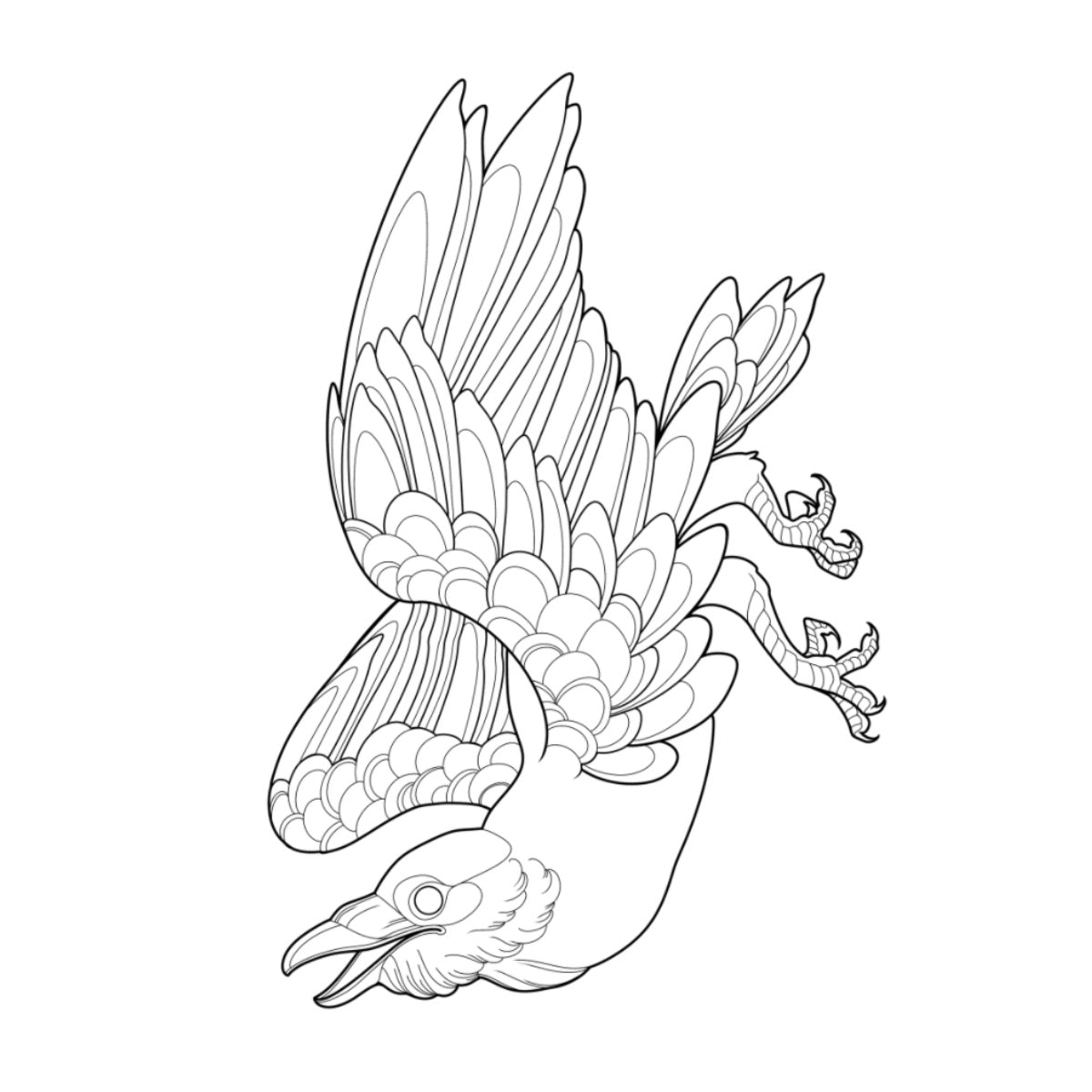 Tatuagem Série Pássaros Corvo 06