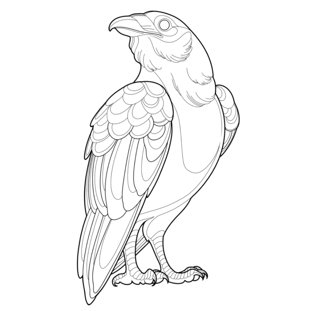 Tatuagem Série Pássaros Corvo 08