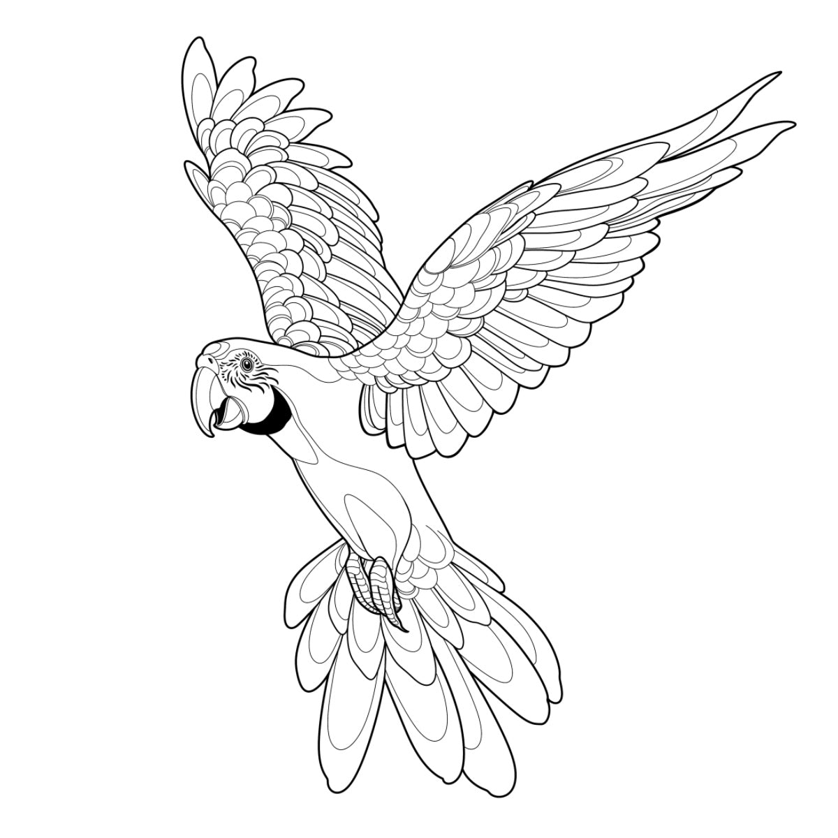 Tatuagem Série Pássaros Papagaio 06