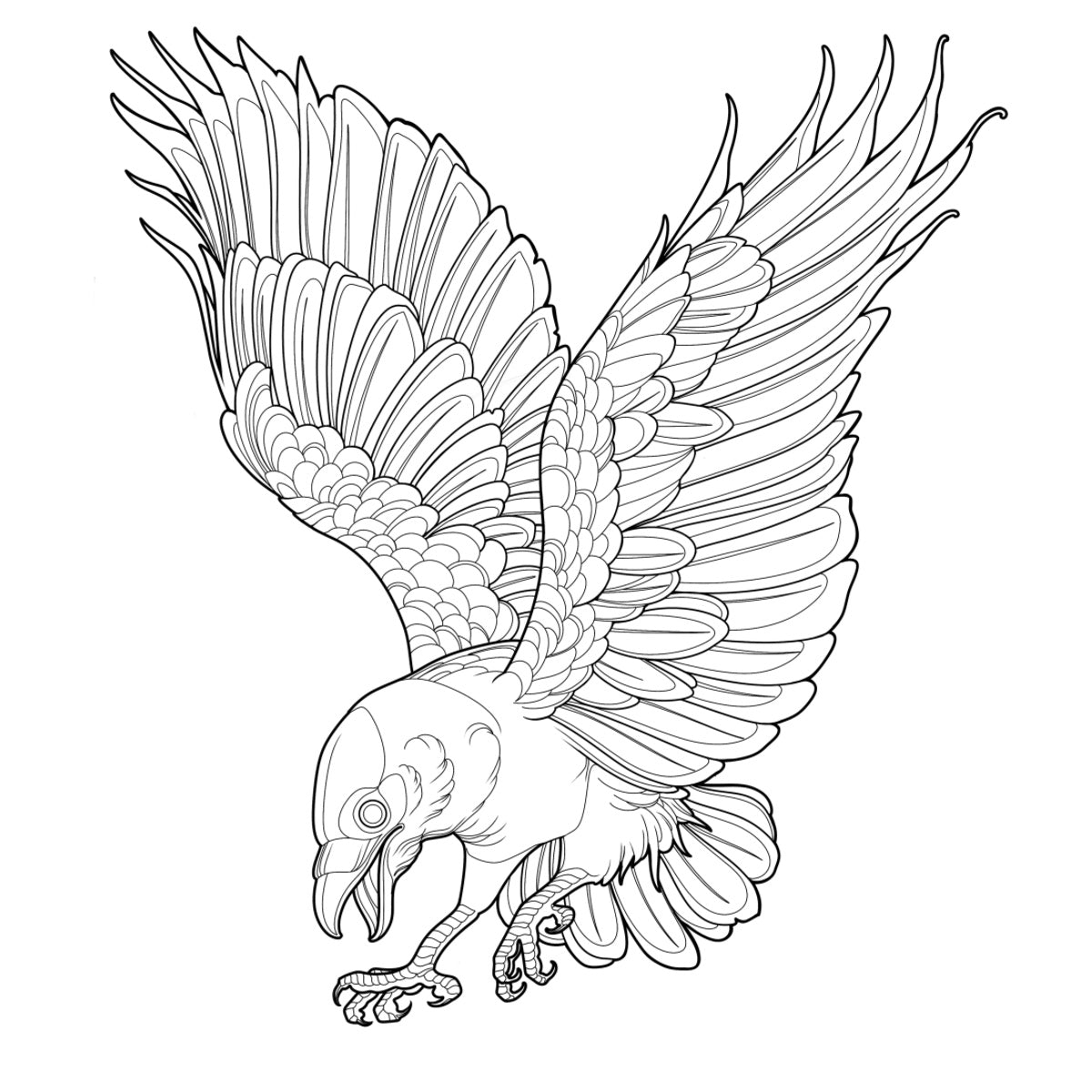 Tatuagem Série Pássaros Corvo 15