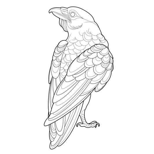 Tatuagem Série Pássaros Corvo 01