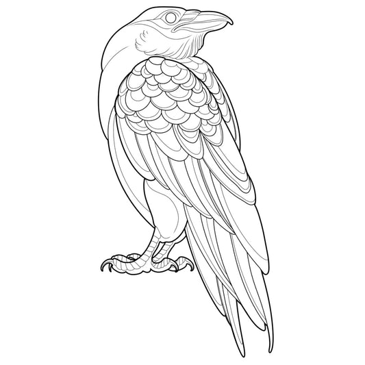 Tatuagem Série Pássaros Corvo 02