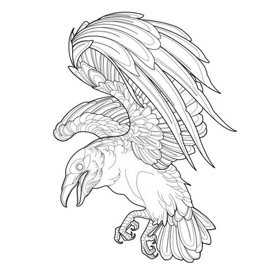 Tatuagem Série Pássaros Corvo 04