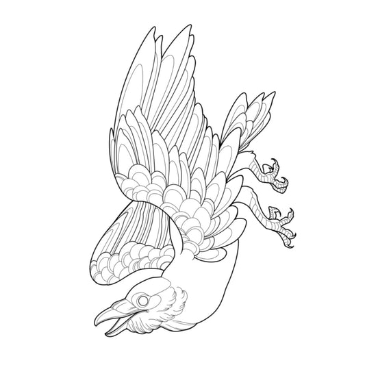 Tatuagem Série Pássaros Corvo 06