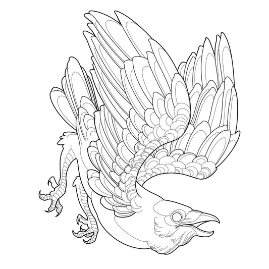 Tatuagem Série Pássaros Corvo 07