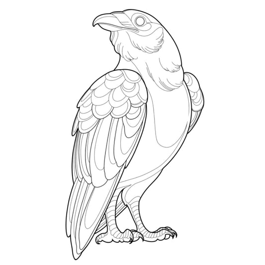 Tatuagem Série Pássaros Corvo 08