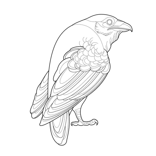 Tatuagem Série Pássaros Corvo 09