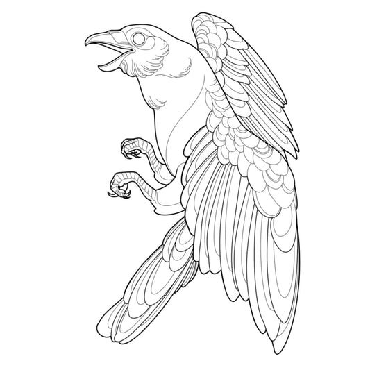 Tatuagem Série Pássaros Corvo 10