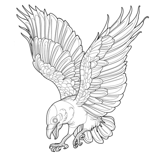 Tatuagem Série Pássaros Corvo 11