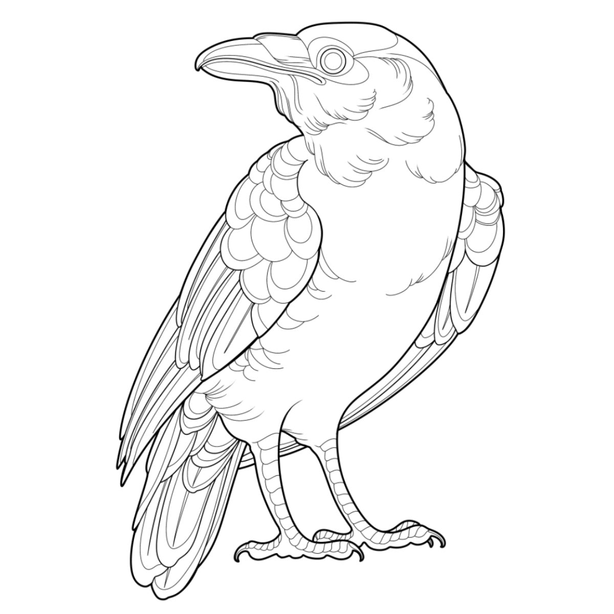 Tatuagem Série Pássaros Corvo 12