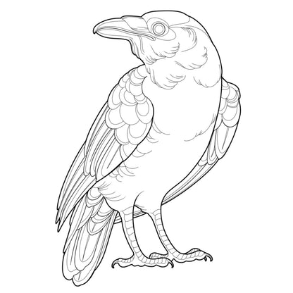 Tatuagem Série Pássaros Corvo 12