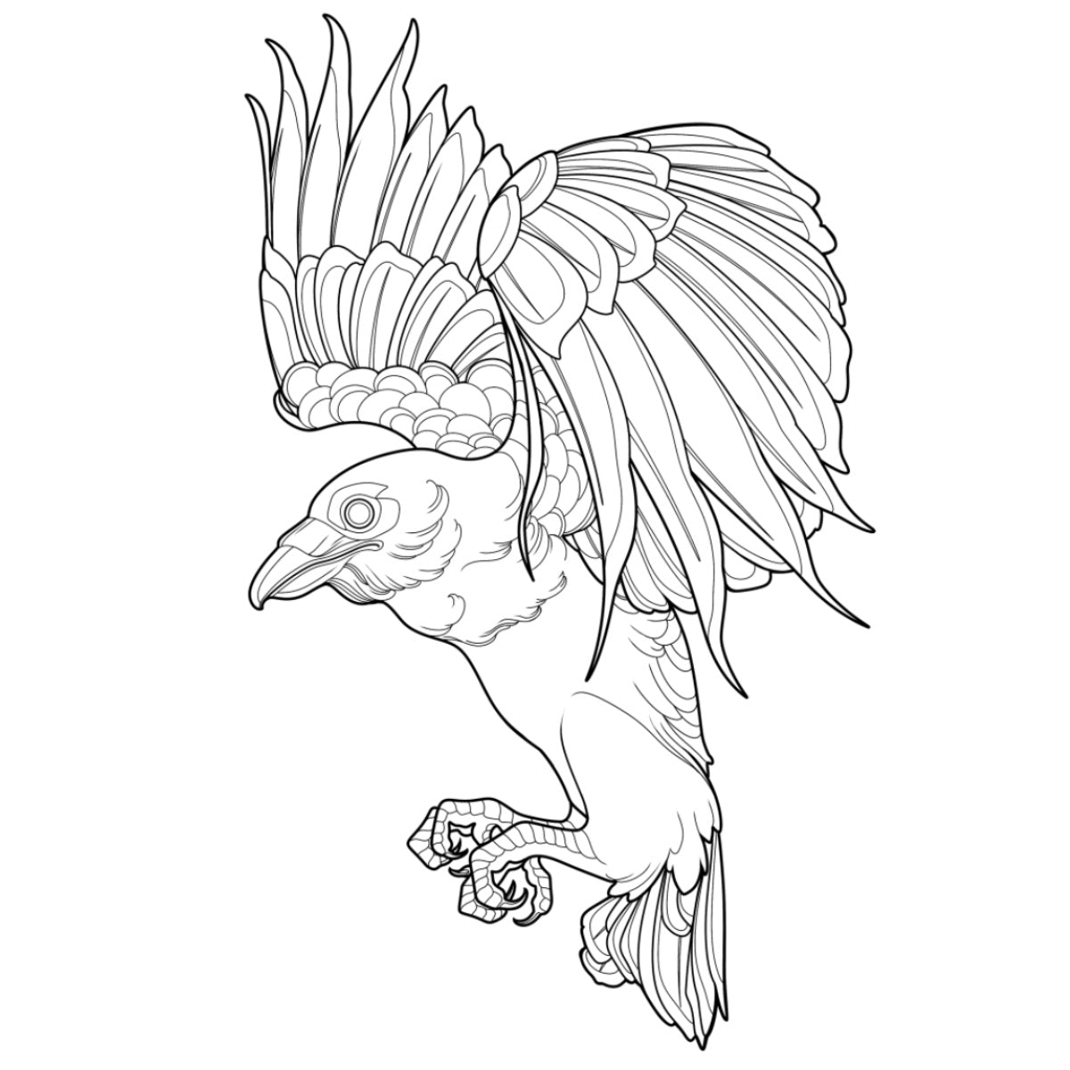 Tatuagem Série Pássaros Corvo 13