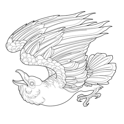 Tatuagem Série Pássaros Corvo 14