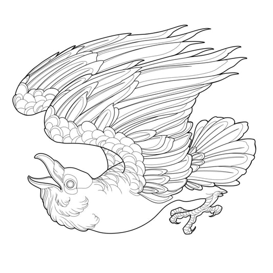 Tatuagem Série Pássaros Corvo 14
