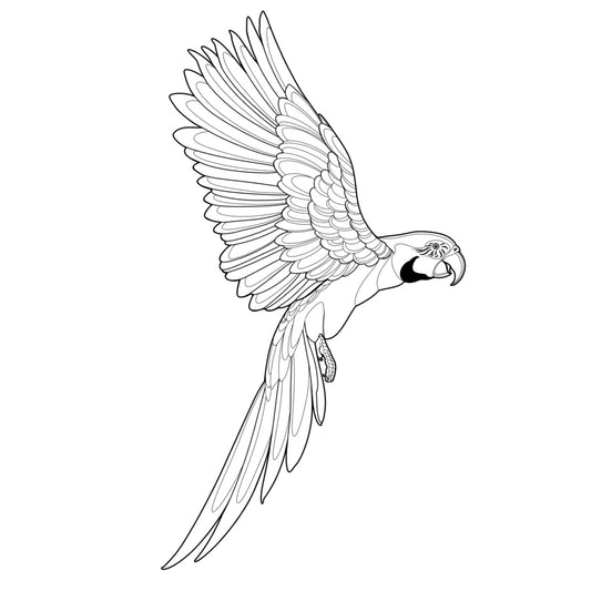 Tatuagem Série Pássaros Papagaio 01