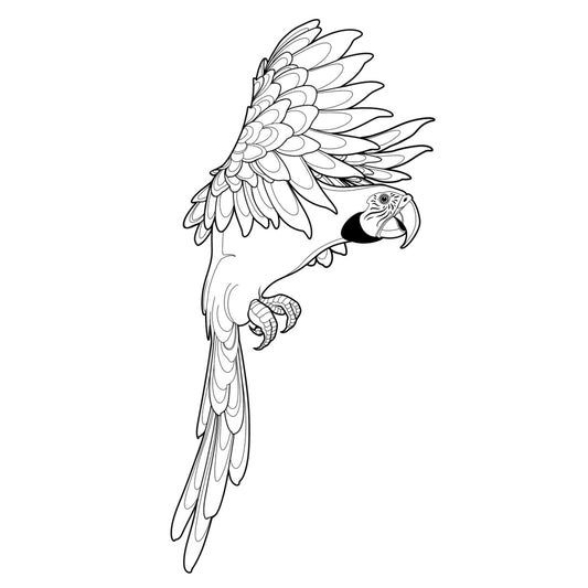 Tatuagem Série Pássaros Papagaio 03