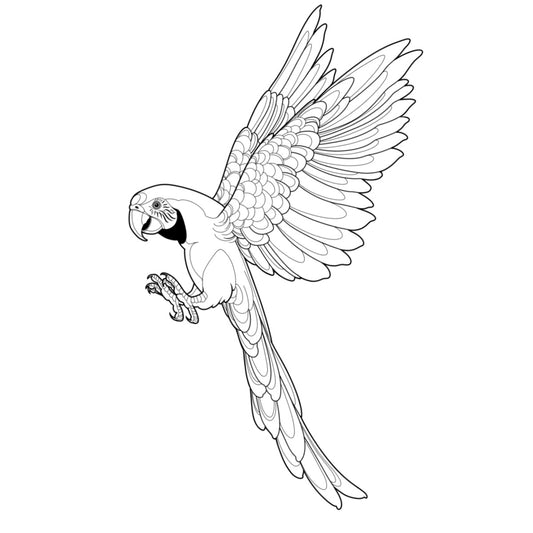 Tatuagem Série Pássaros Papagaio 04