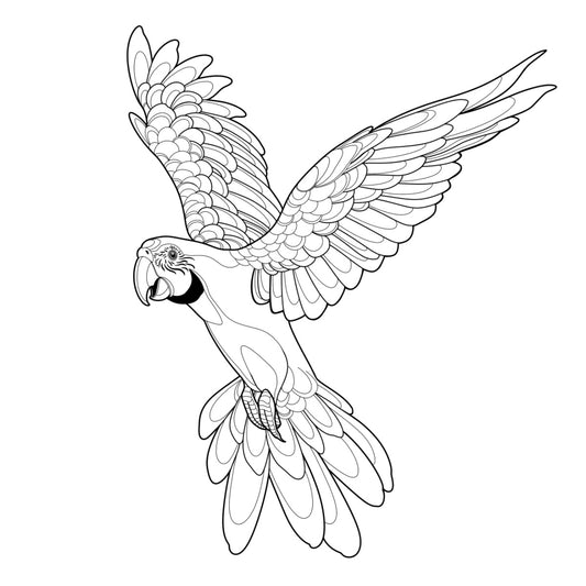 Tatuagem Série Pássaros Papagaio 06