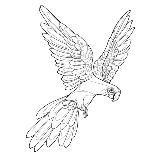 Tatuagem Série Pássaros Papagaio 08