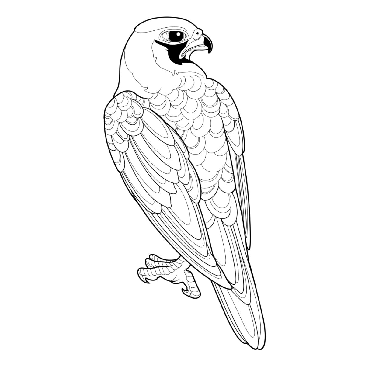 Tatuagem Série Pássaros Falcão 04