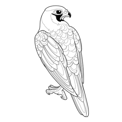 Tatuagem Série Pássaros Falcão 04