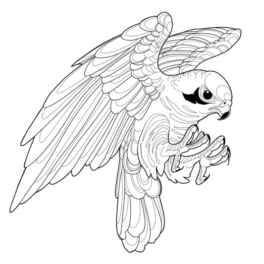 Tatuagem Série Pássaros Falcão 01