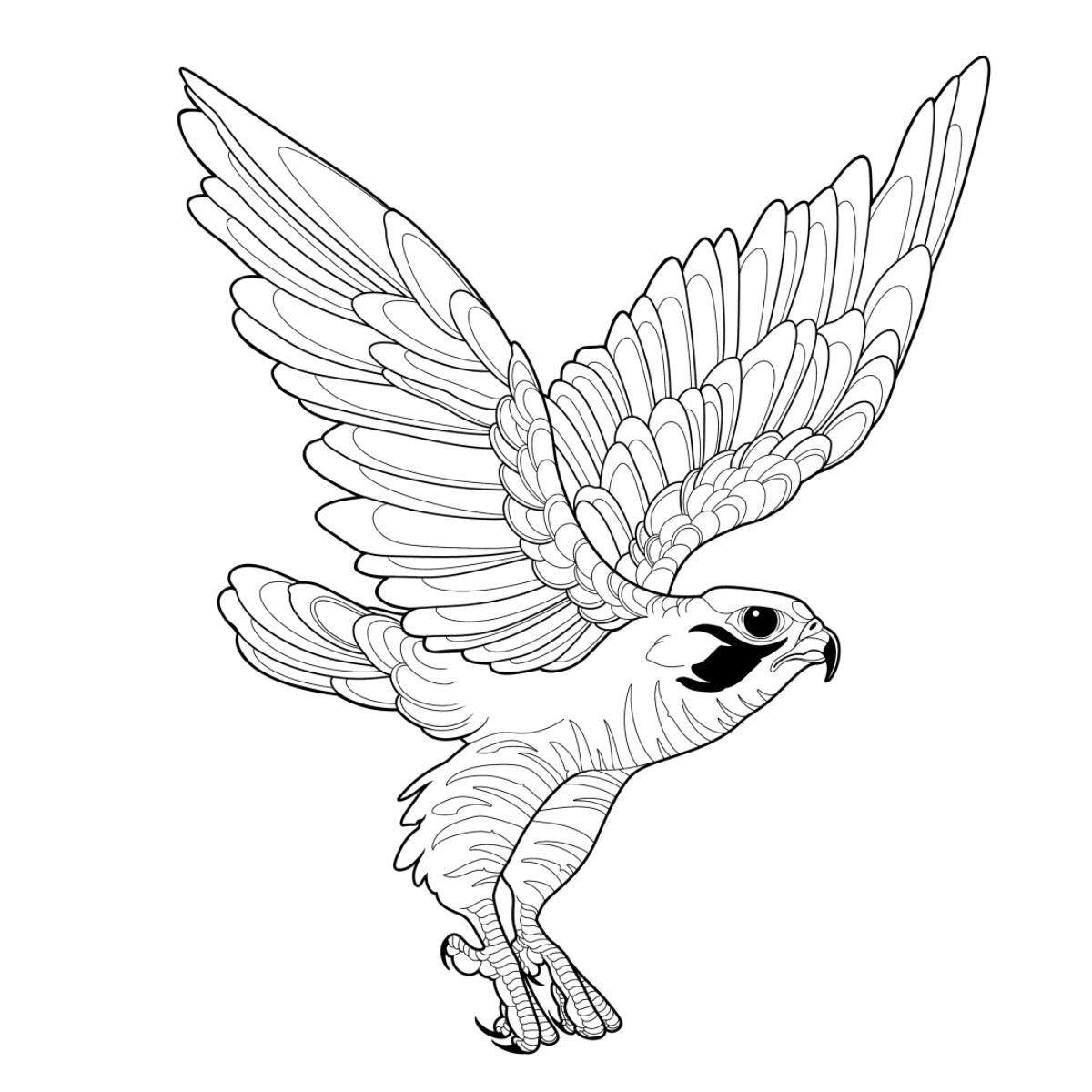 Tatuagem Série Pássaros Falcão 02