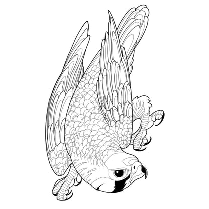 Tatuagem Série Pássaros Falcão 03
