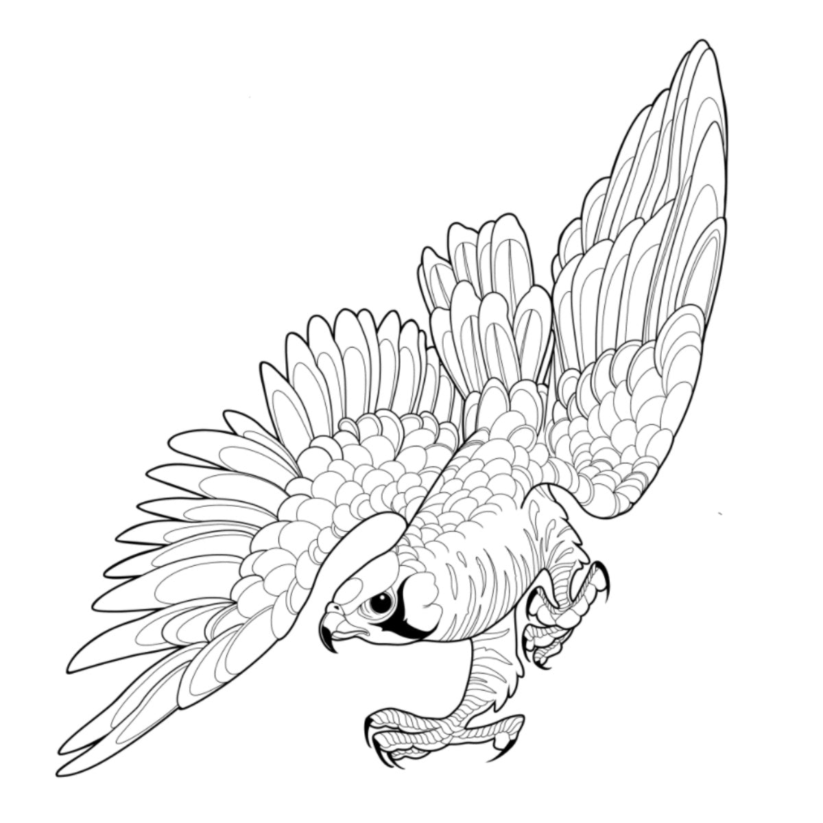 Tatuagem Série Pássaros Falcão 05