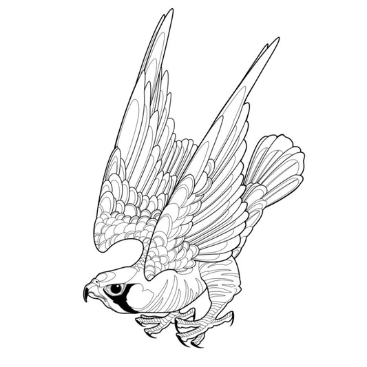 Tatuagem Série Pássaros Falcão 06