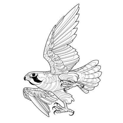Tatuagem Série Pássaros Falcão 07