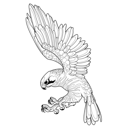 Tatuagem Série Pássaros Falcão 08