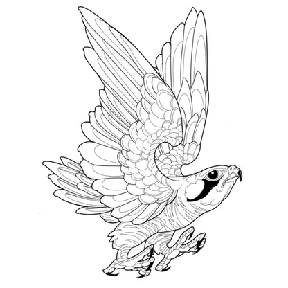 Tatuagem Série Pássaros Falcão 10