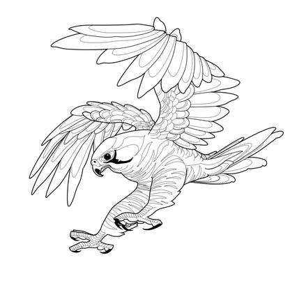 Tatuagem Série Pássaros Falcão 11