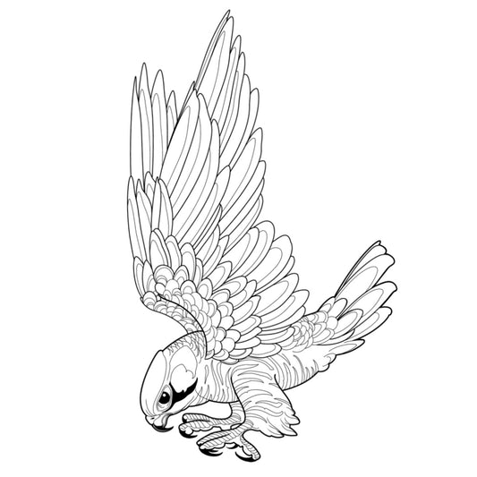 Tatuagem Série Pássaros Falcão 12