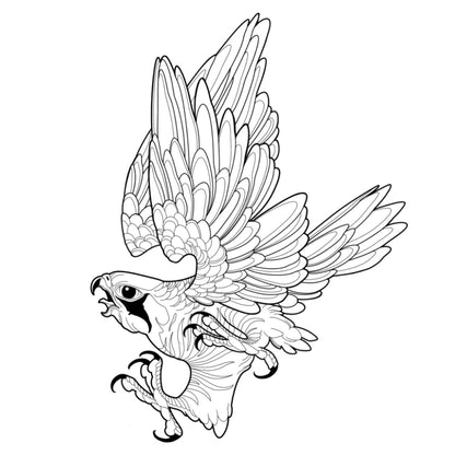Tatuagem Série Pássaros Falcão 13