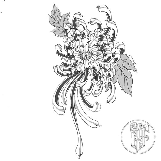 Tatuagem Black WorkFloral Crisântemo